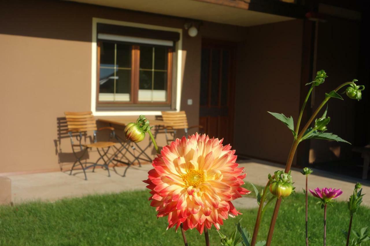 Apartment Steinkellner Tropolach Ngoại thất bức ảnh